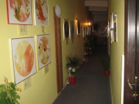 Léčení psychosomatickou artterapií Léčení psychosomatickou artterapií